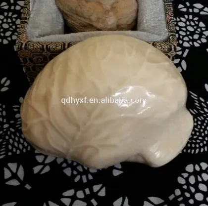 No Transparent and No Medicated soap