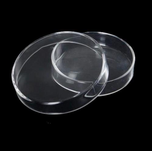Piatti Petri in vetro trasparente di alta qualità 60mm