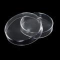 High Quality Transparent Glass Petri Dishes 80mm