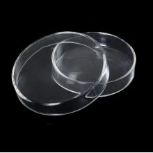 Hochwertige transparente Glas -Petrischalen 60 mm
