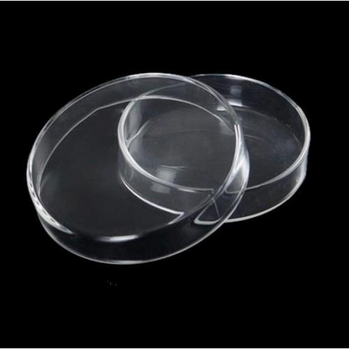 High Quality Transparent Glass Petri Dishes 60mm