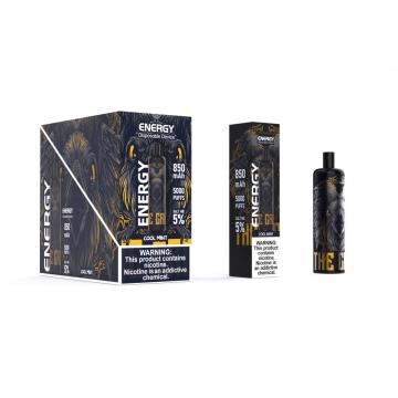 Popular12 Aromen Mesh Spulen -Einweg -Vape Vape Stift