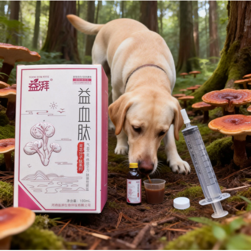 Köpek ve Kedi Demir Proteini Yüksek Verimli Kan Oluşturucu Oral Çözüm