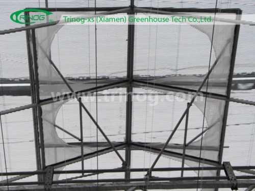 Intelligent Multi-Span Hydroponic Glass Greenhouse