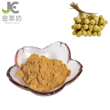 manufactor supply longan fruit extract powder 10:1