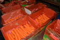 Shandong wortel segar dijual