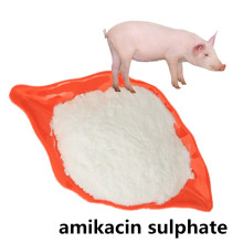 Active ingredients Amikacin Sulfate powder
