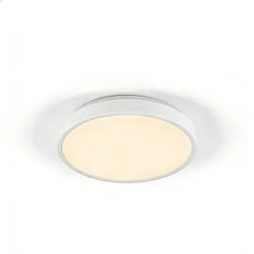 LED ceiling lighting with soft brightness