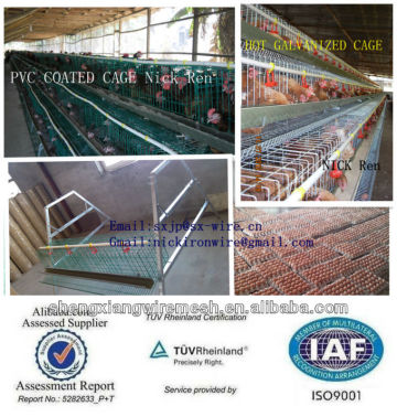 chicken egg layer cages, layers cage