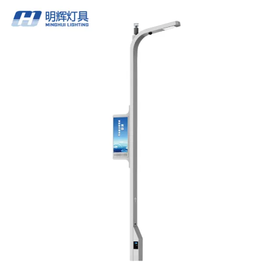 Factory Supply Smart City Lighting Aluminium Double Arm Street Smart Light Pole