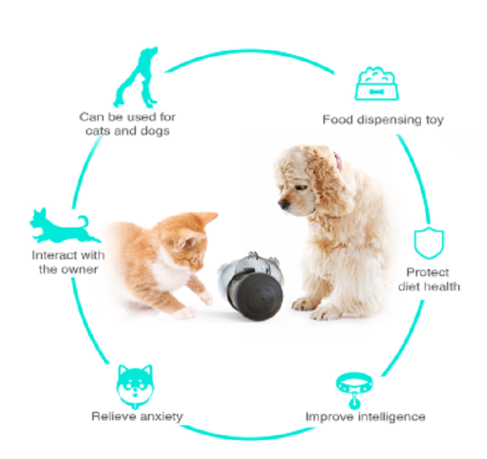 Improve Intellgence Toy For Cat And Dog Details 1