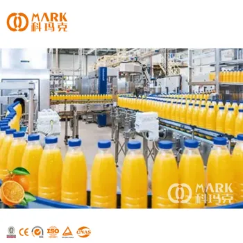 Bottled Fruit Juice Drink Beverage Filling Machine Production Line