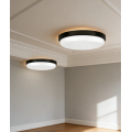LED Indoor Ceiling Light
