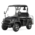 Jeep Gas SSV 200cc UTV mit EPA