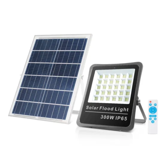 Solar Flood Light for Gate