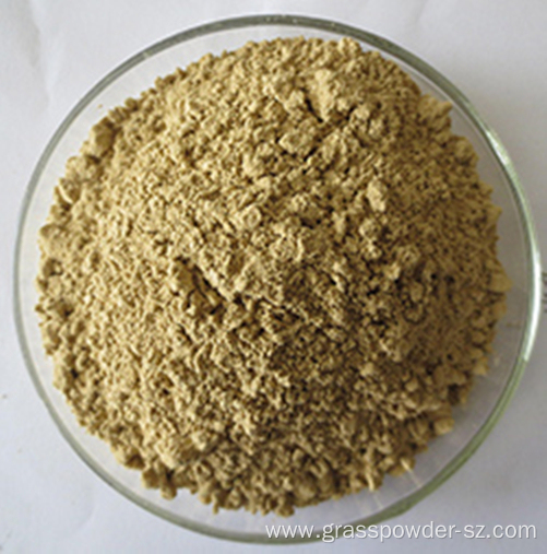 Organic Balsam Pear Powder