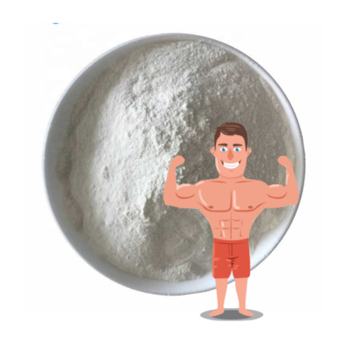 Hot Selling Bodybuilding Hot selling bodybuilding supplements A Powder Supplier
