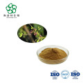 Hot Selling Boerhavia Diffusa Root Extract