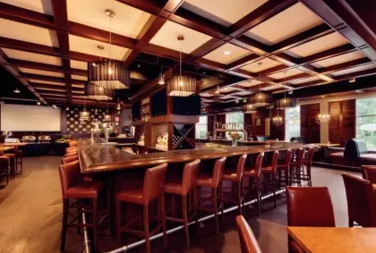 Dining Chair Table For Hotel Public Furniture