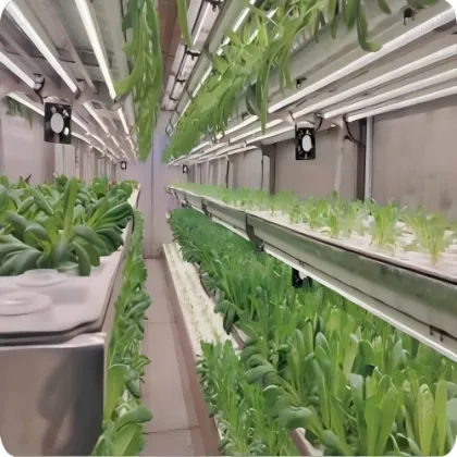 Hydroponics Cultures Plant Technology Container Greenhouse