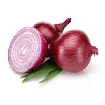 Healthy Natural Fresh Onion Green Products , No Irregular S