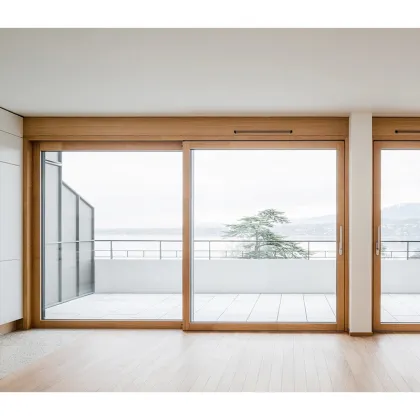 IKEA LUXURY ALUMINUM CLAD WOOD DOORS 2023