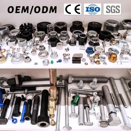 Wholesale Supplier: High-Quality Stainless Steel T-Slot Bolts and T-Head Fasteners