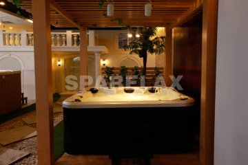 2014 New Deluxe Outdoor Swim SPA / Swimming Pool SPA - L526