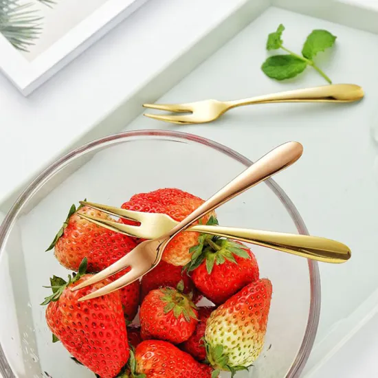 European 304 Stainless Steel Frosted Fruit Fork