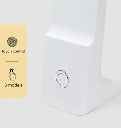 Adjustable Brightness Foldable LED Desk Light with Charging