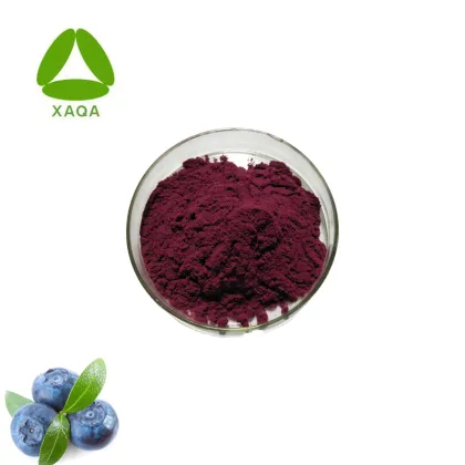 Organic Wild Blueberry Fruit Juice Extract Powder