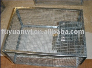galvanzied dog cages