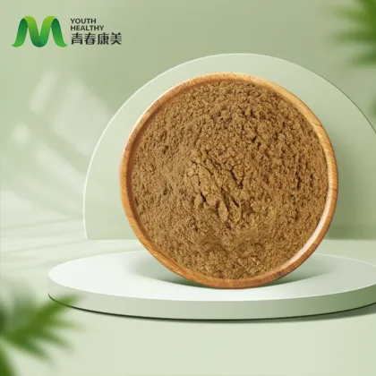 Natural Boletus Edulis Extract Powder