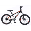 TW-36-1, vysoce kvalitní studenti kola Mountain Bike