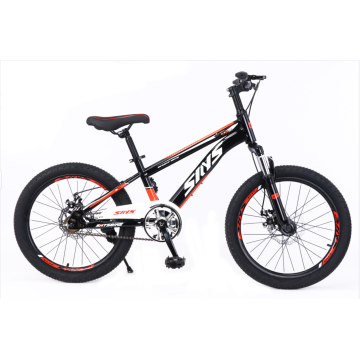 Tw-36-1-High Quality Bicycle Students Mountain Bike