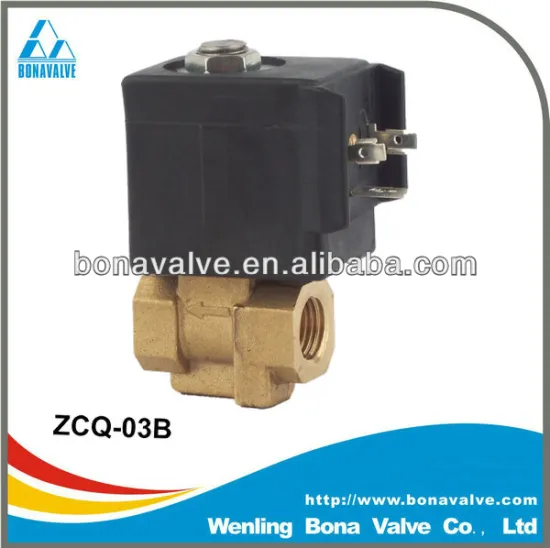 220VAC solenoid valve for steam (ZCQ-03B) CEME