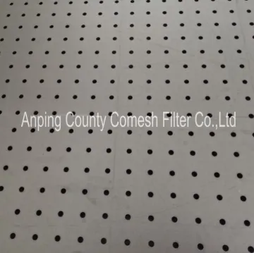 Stainless Steel Punched Mesh Screen Trays