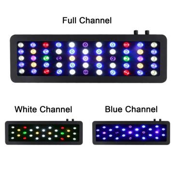 Remote Aquarium LED Lighting untuk Fish Tank