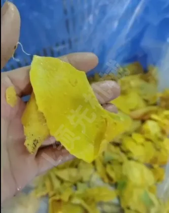 Mango Pulp Plant: Mango Seed Remover Machine & Mango Juice Maker