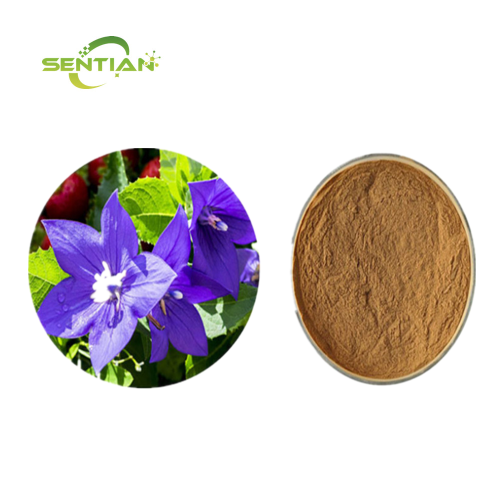 Natural Platycodon Root Extract Campanulaceae Extract