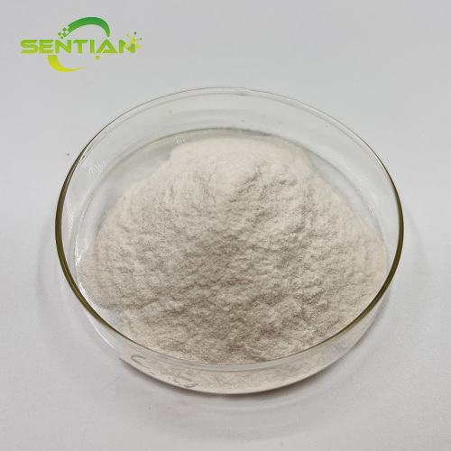 Premium Natural Konjac Root Powder