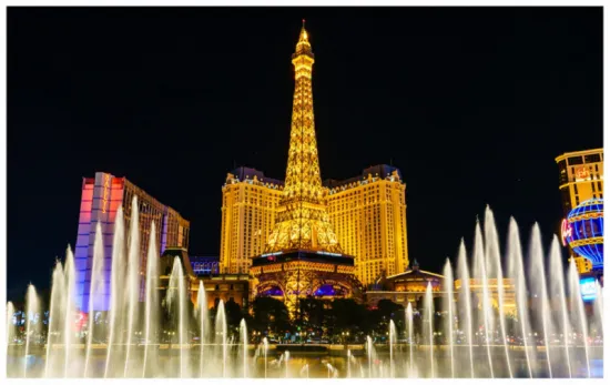 LED flood light in the landscape lighting project