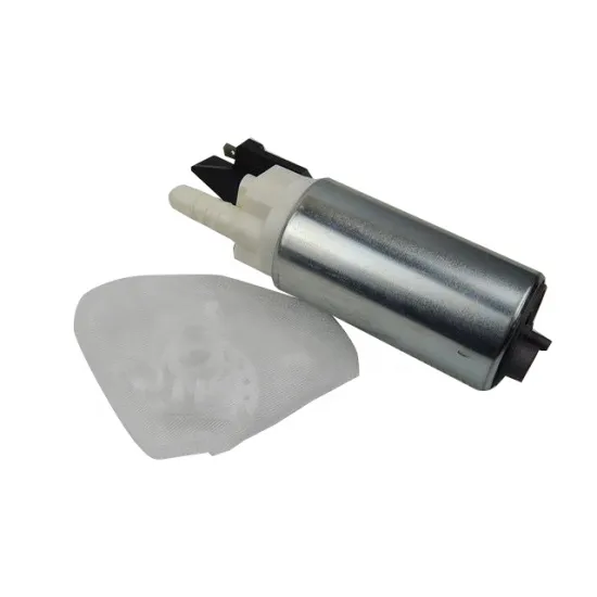 Hot Sale Fuel Pump 0580464001 for Nissan & Peugeot