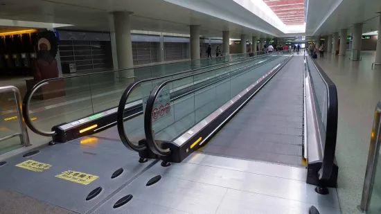 Advanced Technology Moving Walkway for Shopping Center