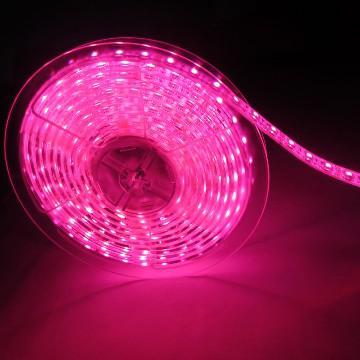 Out door led lights PU IP68 110v waterproof led strip light