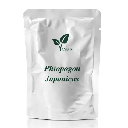 Herbal Extract of phiopogon japonicus root extract