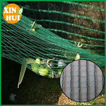 export pe heavy duty net harvest olives