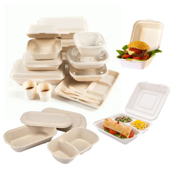 24cm 600ml biodegradable to go containers eco friendly