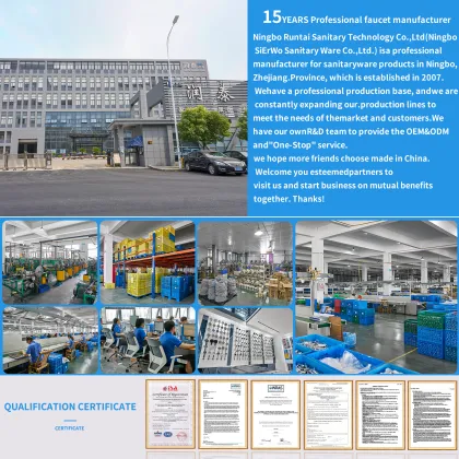 Gourmet Plastic Bathroom Faucet