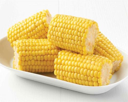 Maïs sucré nouvelle récolte 2019 avec bon prix